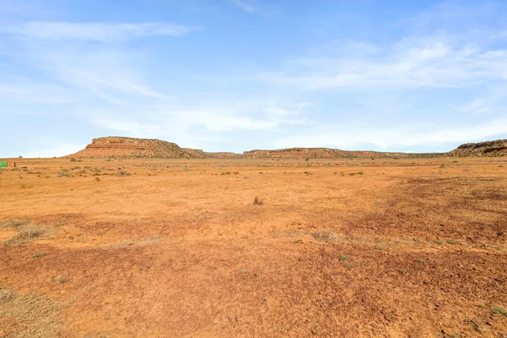 Expansive desert landscape featuring reddish-brown earth and distant mesas under a clear sky