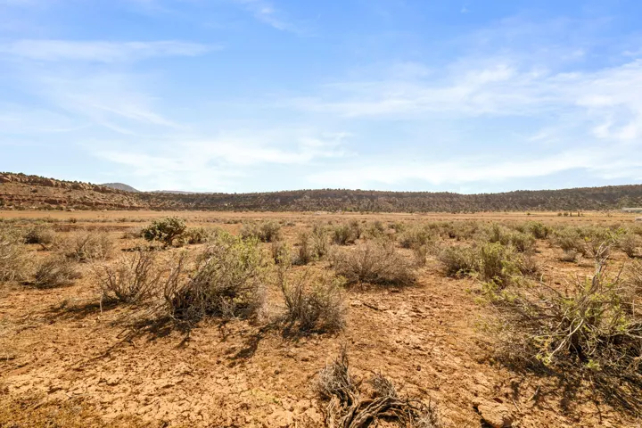 Expansive open land with varied low-lying desert vegetation, featuring distant red rock formations and a clear blue sky