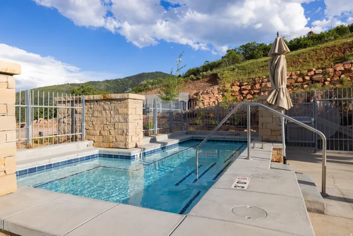 Outdoor pool with concrete decking and integrated handrails
