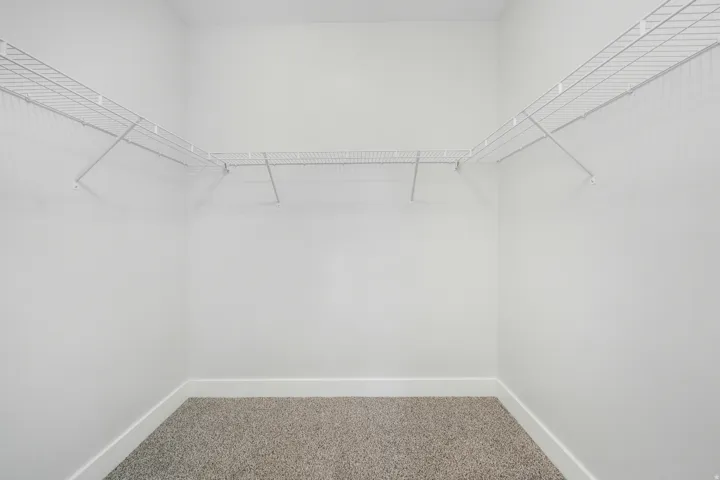 Closet featuring wire shelving, white walls, and neutral carpet flooring