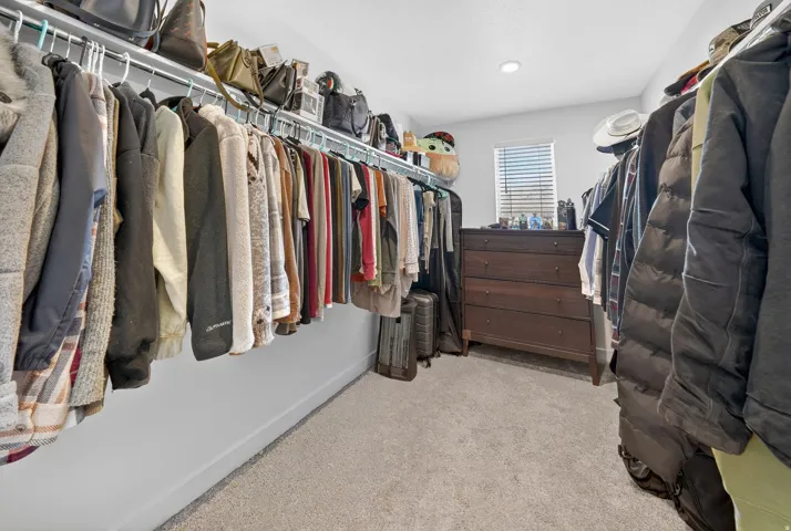 Spacious walk-in closet featuring carpet flooring, built-in shelving, ample hanging rods, a window with blinds, and recessed lighting
