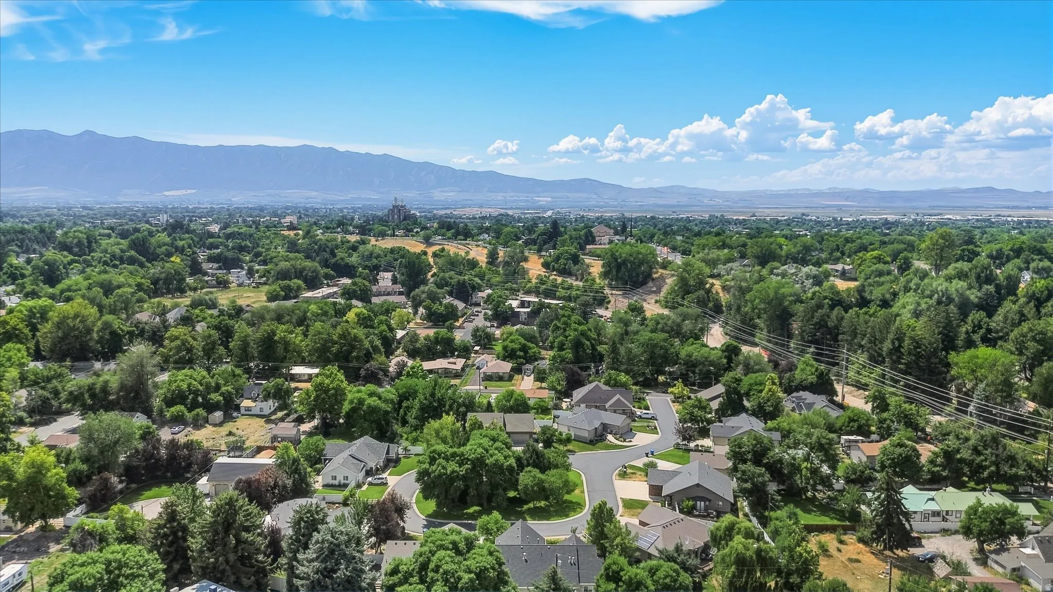 Expansive aerial perspective showcasing a residential area with mature tree coverage and distant mountain ranges