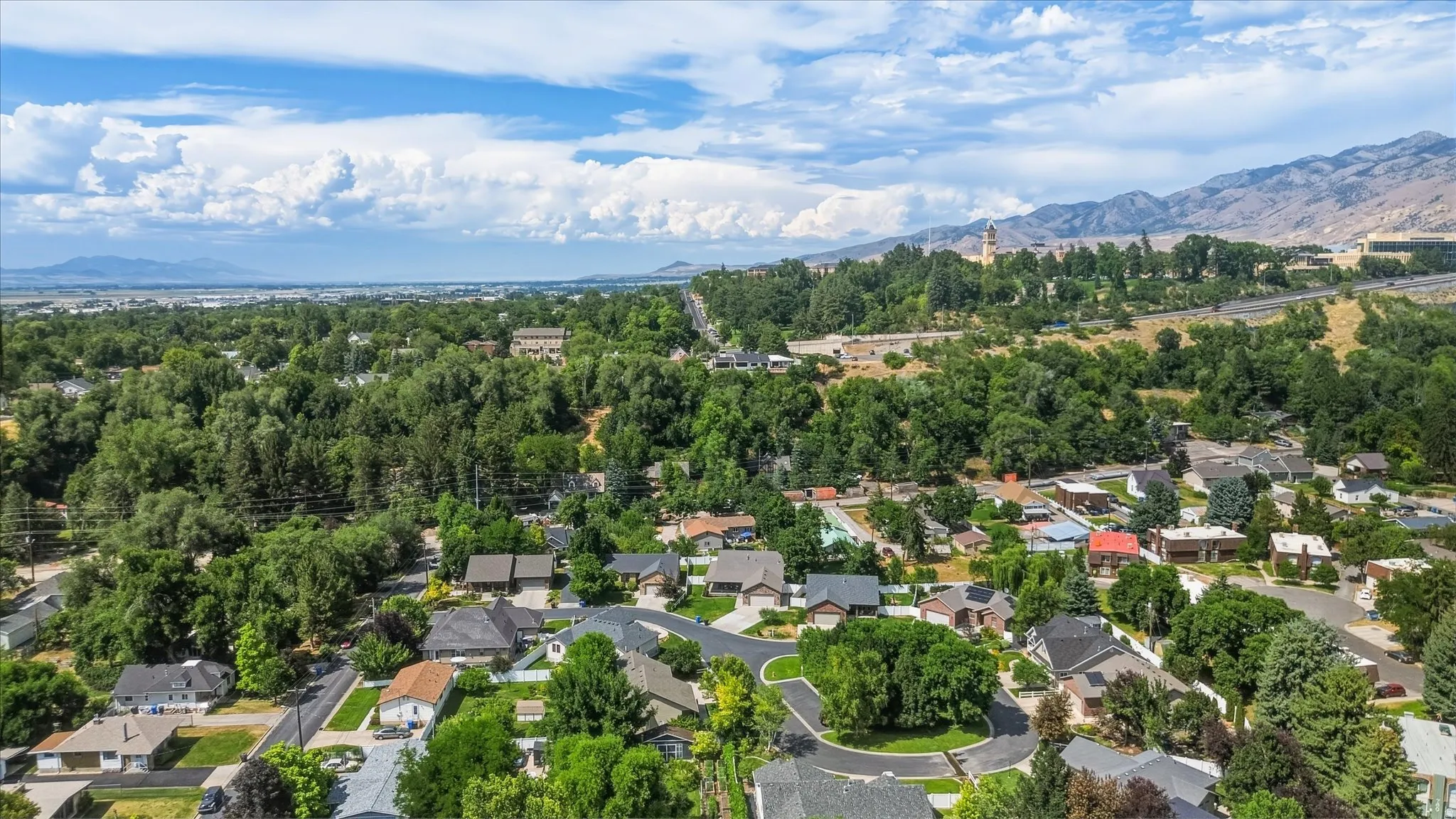 Aerial perspective showcasing a residential area with varied home styles and mature trees