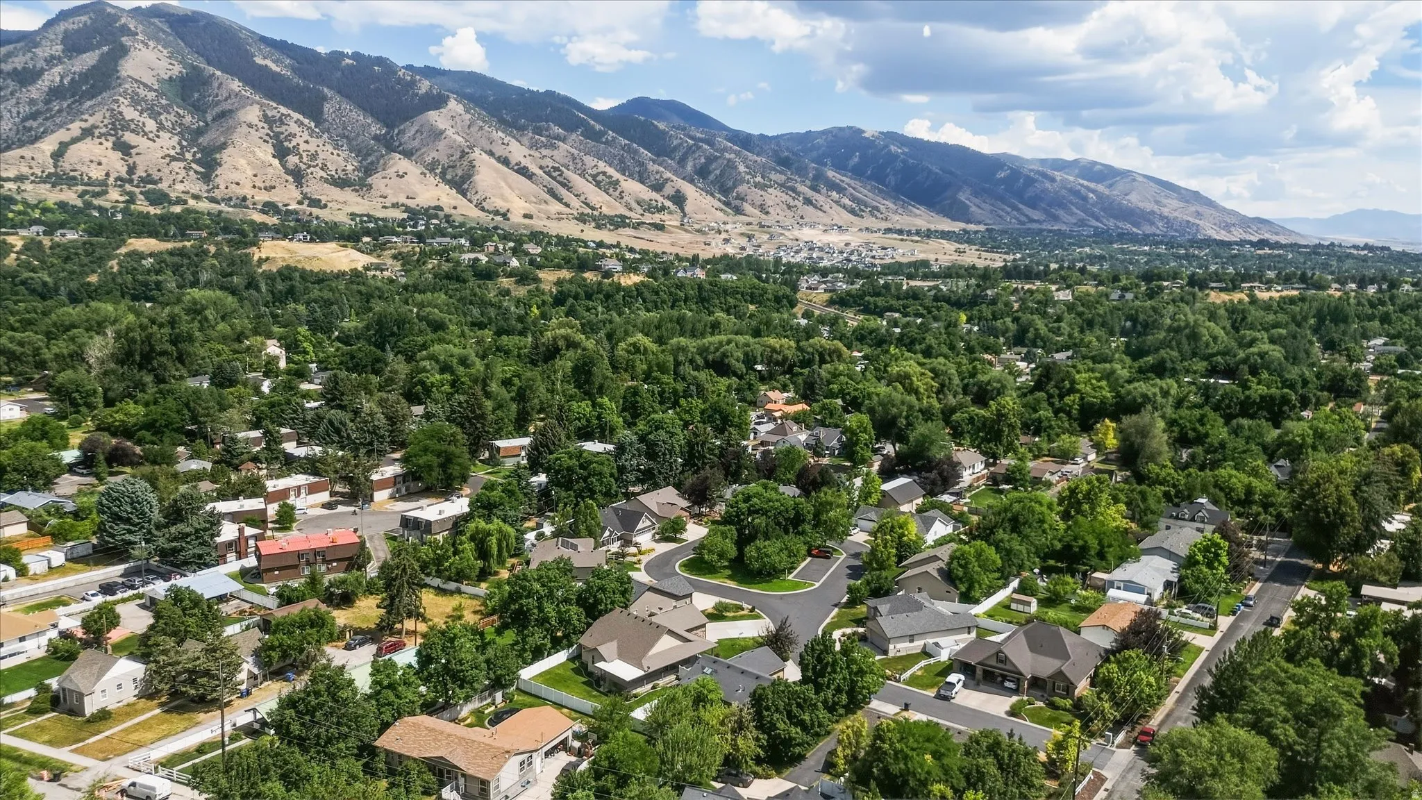 Sprawling residential area featuring abundant mature trees and mountainous terrain