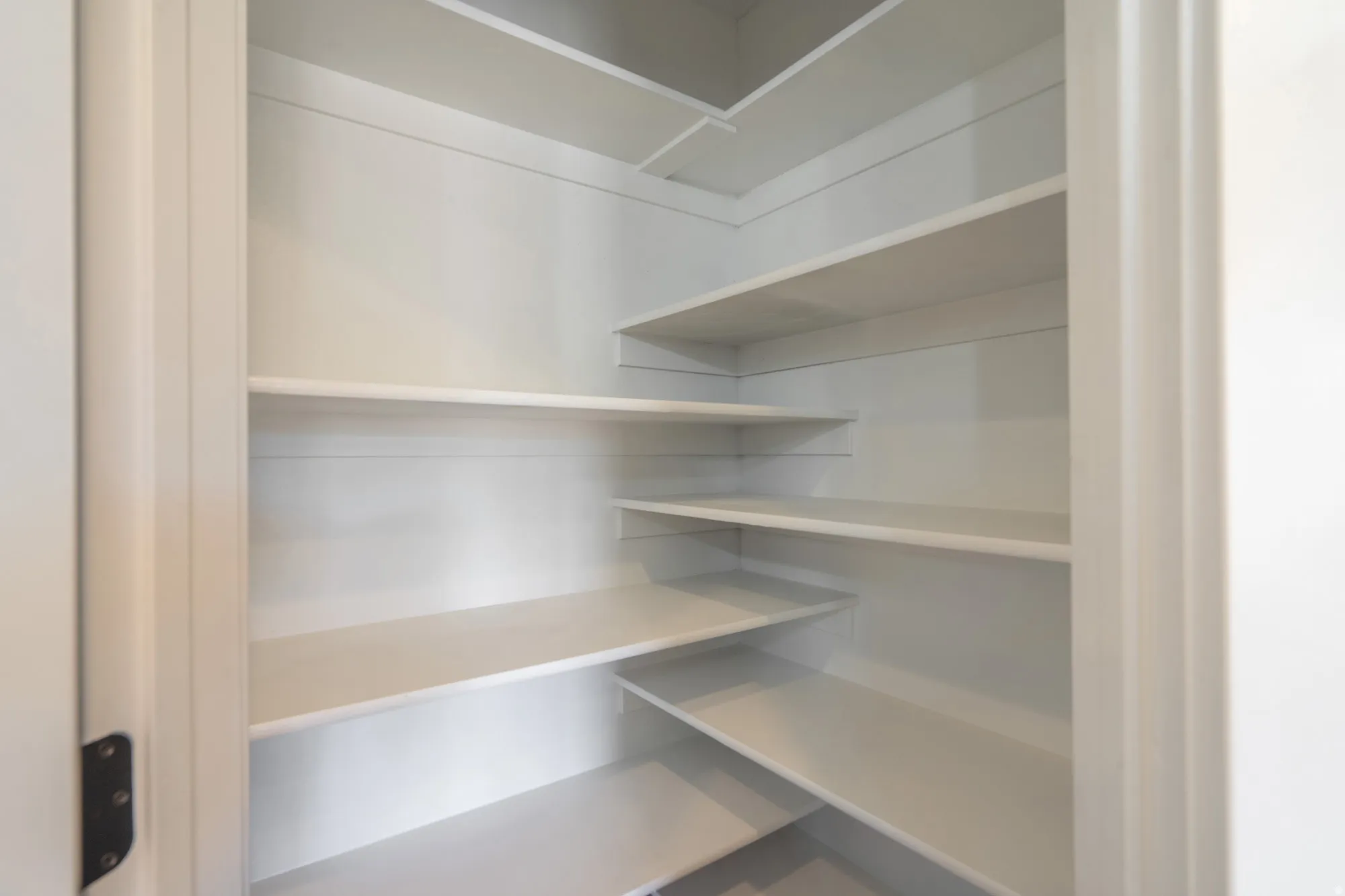 Corner pantry featuring multiple white shelves and white paneled walls