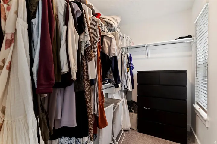 Walk-in closet featuring carpet flooring, built-in shelving, and a window with blinds