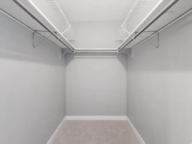 Walk-in closet featuring light gray walls, white trim, and light-colored carpet