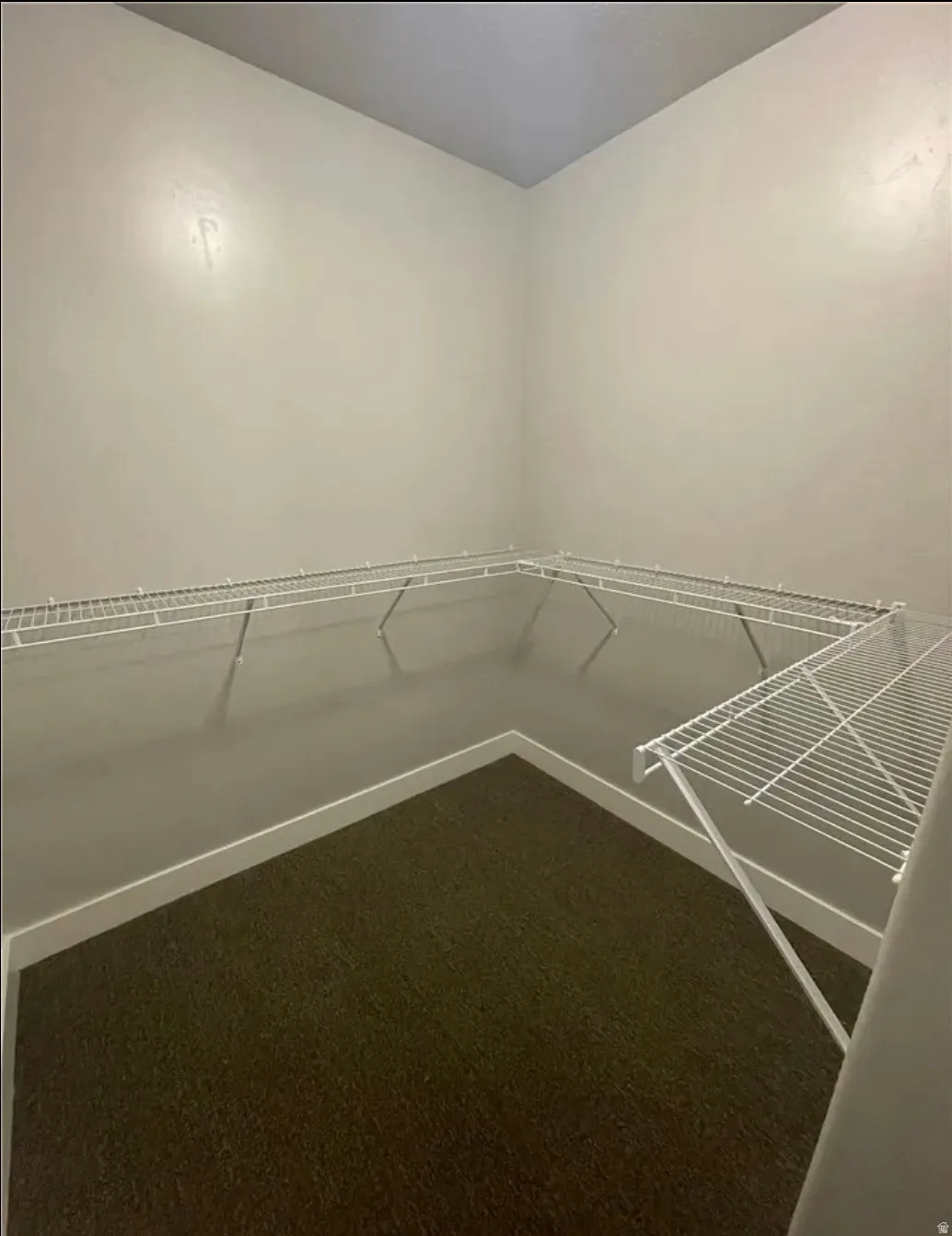 Walk-in closet featuring wraparound wire shelving, dark green carpeting, and light neutral wall finishes