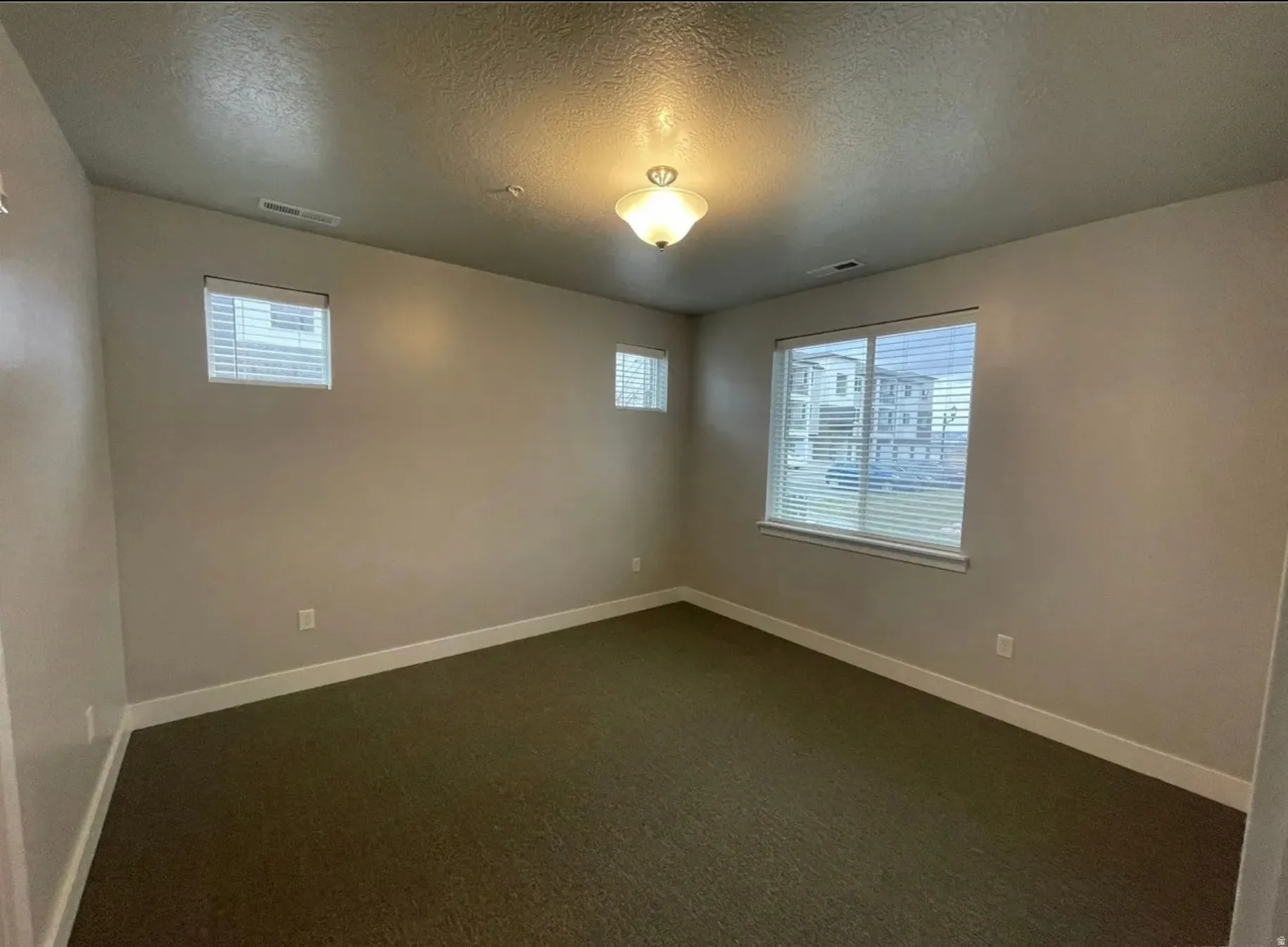Carpeted room featuring multiple windows, neutral wall tones, and white trim