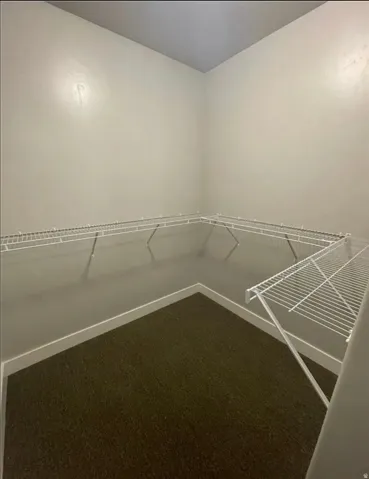 Walk-in closet featuring wraparound wire shelving, dark green carpeting, and light neutral wall finishes