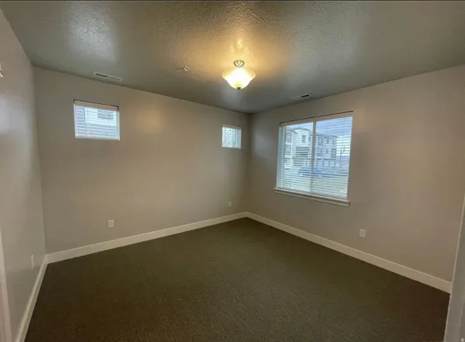 Carpeted room featuring multiple windows, neutral wall tones, and white trim