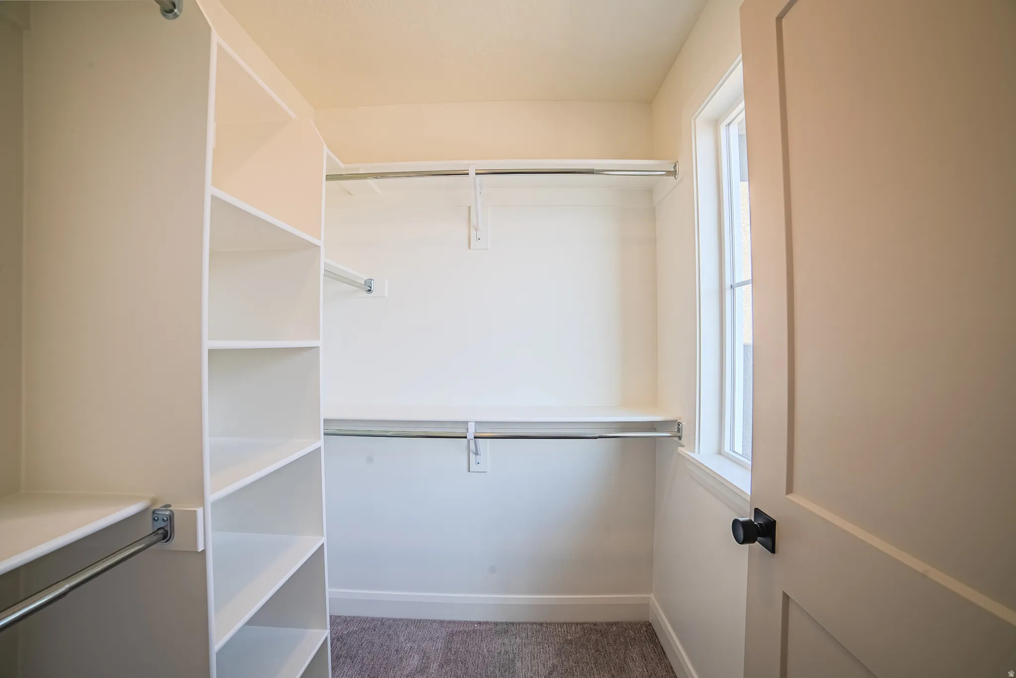 Walk-in closet featuring built-in shelving, dual hanging rods, a window, and neutral carpeting