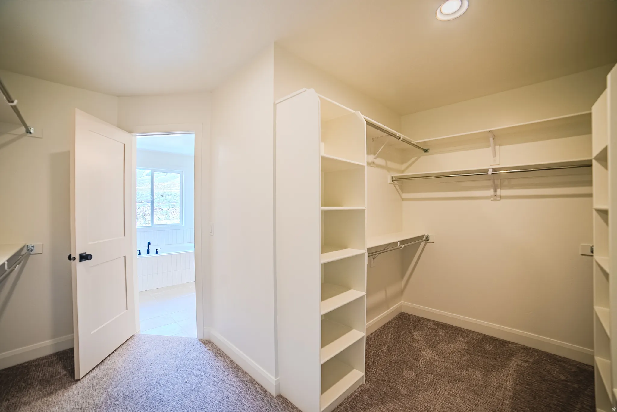 Walk-in closet featuring carpet flooring, built-in shelving, hanging rods, and recessed lighting