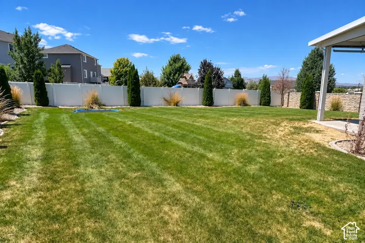 Expansive lawn with a white privacy fence, mature evergreen trees, and a stone retaining wall