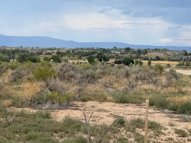 Expansive natural landscape with varied shrubbery and visible mountain range in the distance