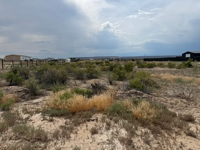 Expansive open land featuring natural desert vegetation