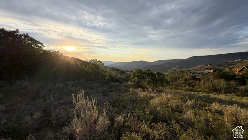 Expansive landscape featuring distant mountains and a diverse array of natural vegetation