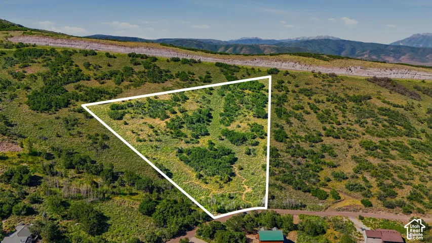 Expansive hillside acreage with varied topography