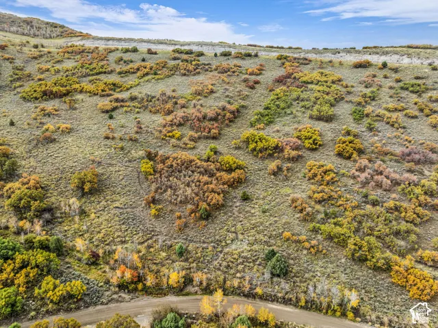 Expansive natural landscape featuring diverse autumnal foliage, a rugged terrain, and a dirt road