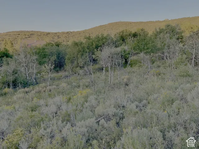 Sloping terrain featuring diverse vegetation, including mature trees and flowering shrubs
