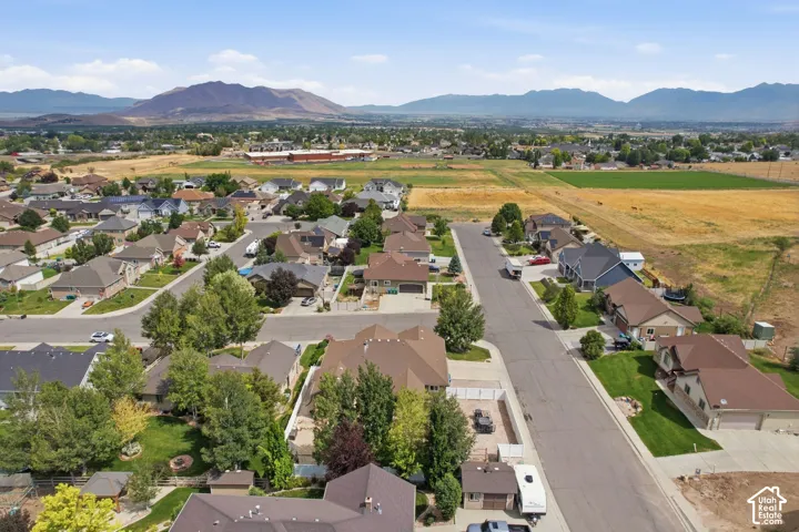 Residential neighborhood featuring established homes and tree-lined streets