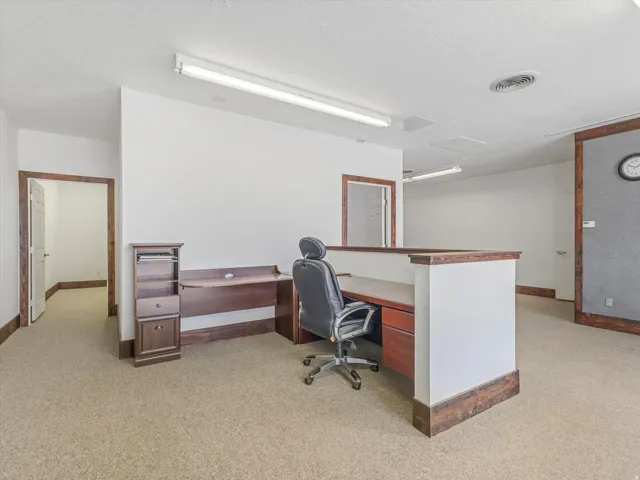 Expansive open-concept room featuring neutral-toned carpeting and bright overhead fluorescent lighting