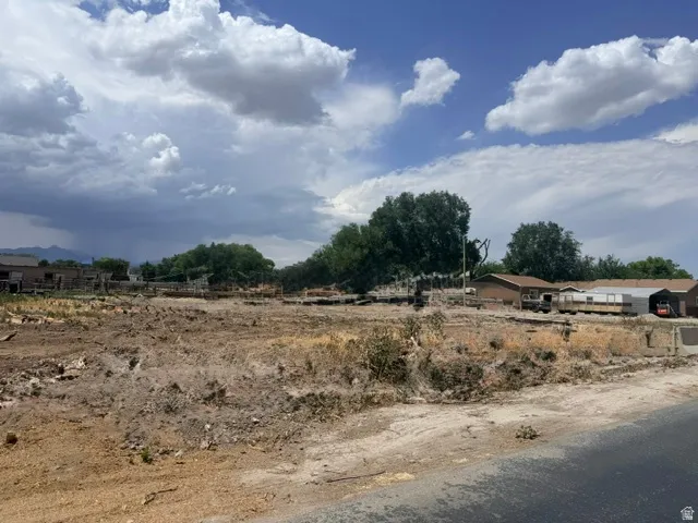 Expansive cleared lot with mature trees in the background View from South