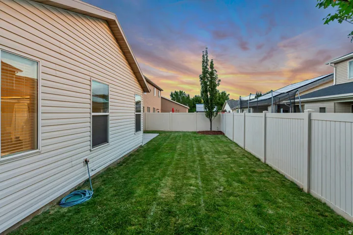 Expansive backyard featuring a manicured lawn, a young tree, and a light-toned privacy fence