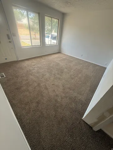 Carpeted living area featuring two large windows,  white entry door with glass window