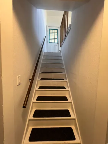 White staircase with black stair treads, complete with a dark wood-finish handrail and wood-finish balusters
