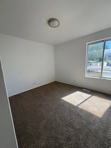 Wall-to-wall carpeting and a ceiling-mounted light fixture