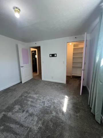 Wall-to-wall carpeting in a neutral tone, ceiling-mounted light fixture, and two doorways with interior access