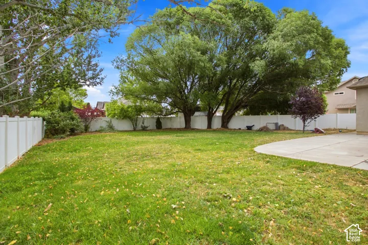Expansive lawn area featuring a curved concrete patio, mature trees, and a white privacy fence