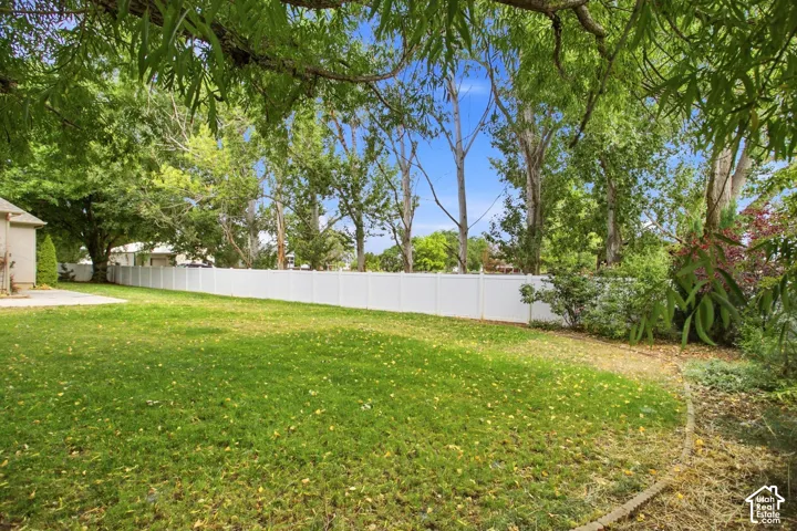 Expansive backyard featuring a lush green lawn and mature perimeter trees