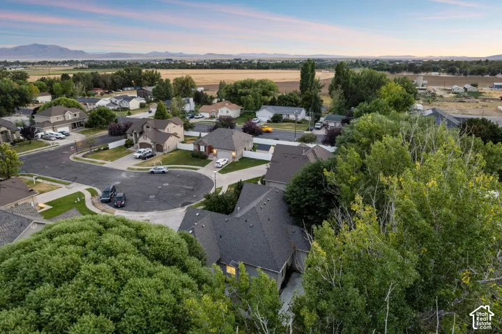 Residential neighborhood with cul-de-sac street design, surrounded by mature trees and distant fields
