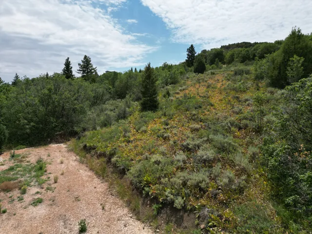 519 S Balsamorhiza Rd, Garden City, Utah 84028