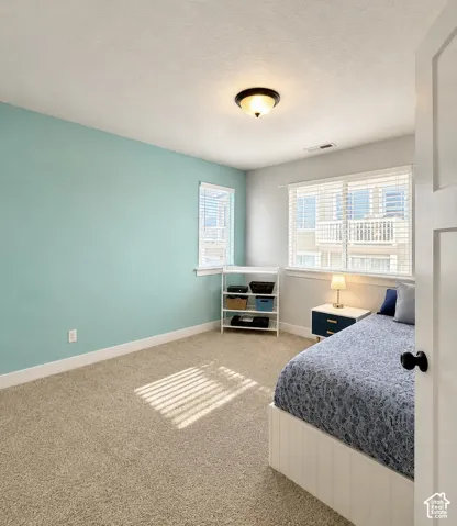 Carpeted interior space with a two-tone wall finish, featuring two windows with horizontal blinds and a ceiling-mounted light fixture