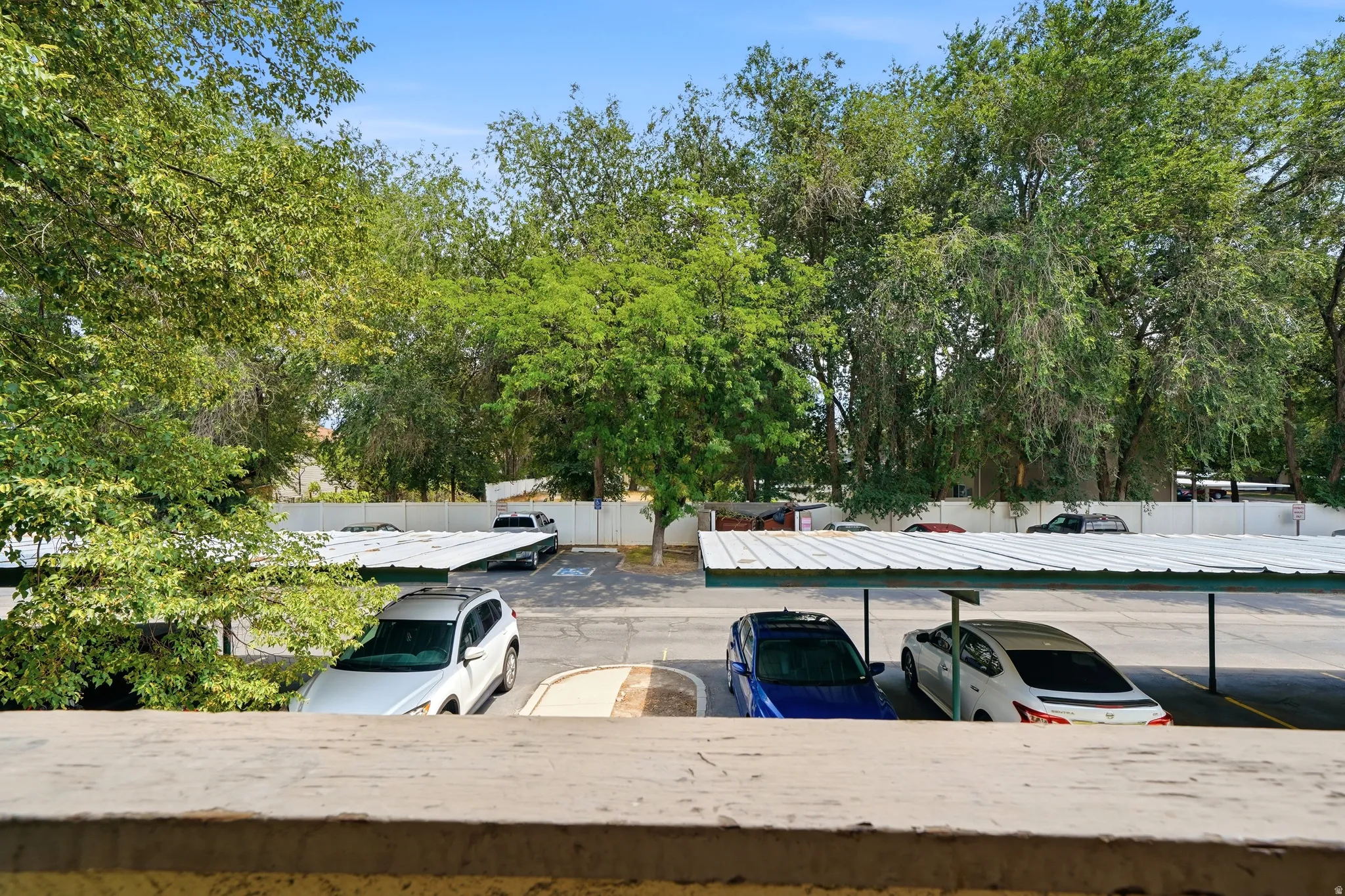 Carport parking area with mature trees and a paved drive