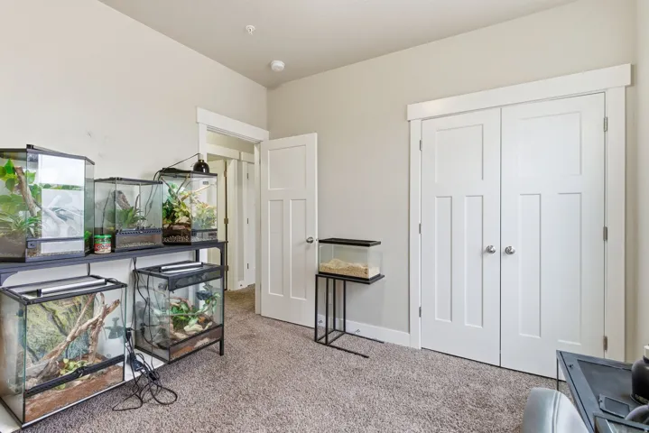 Neutral-toned room with plush carpet flooring, white trim, and a white interior door