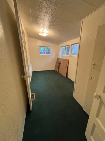Room featuring green carpeting, multiple windows, a ceiling-mounted light fixture, and a textured ceiling