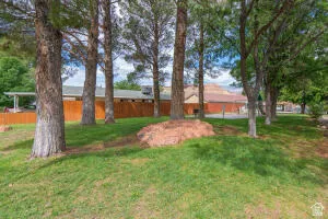 Green lawn area featuring multiple mature trees and a wooden fence boundary