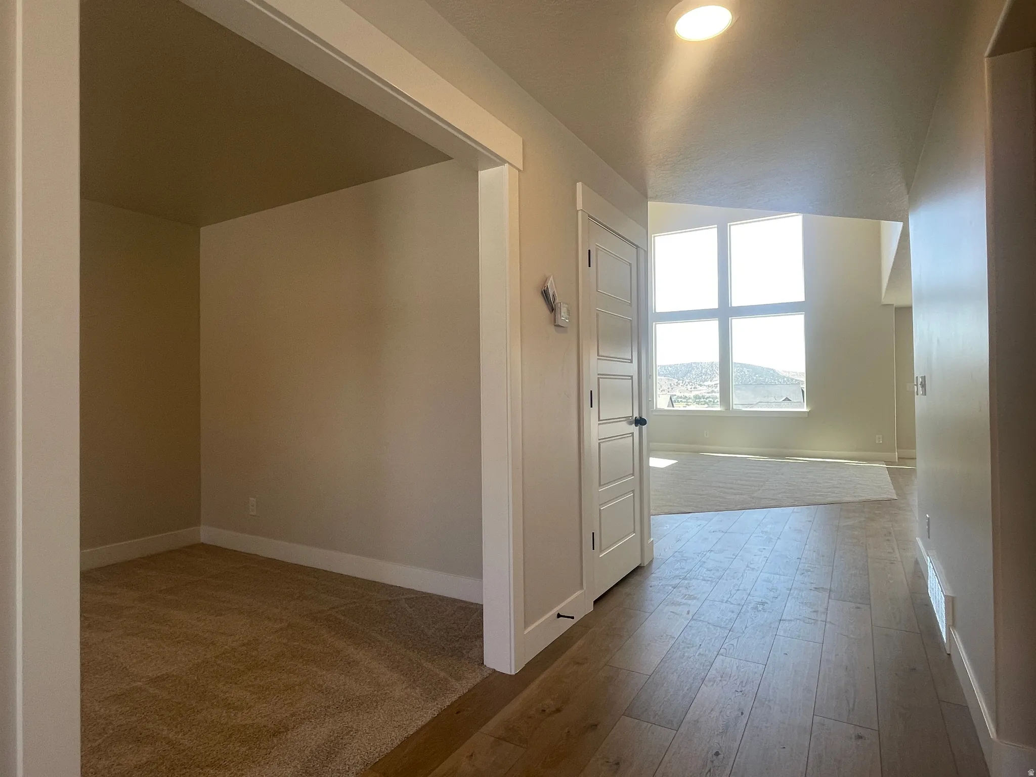 Hallway featuring wood-finish flooring, a contemporary paneled door, and recessed lighting, opening to a carpeted room with multiple large windows and a built-in nook with carpeted flooring