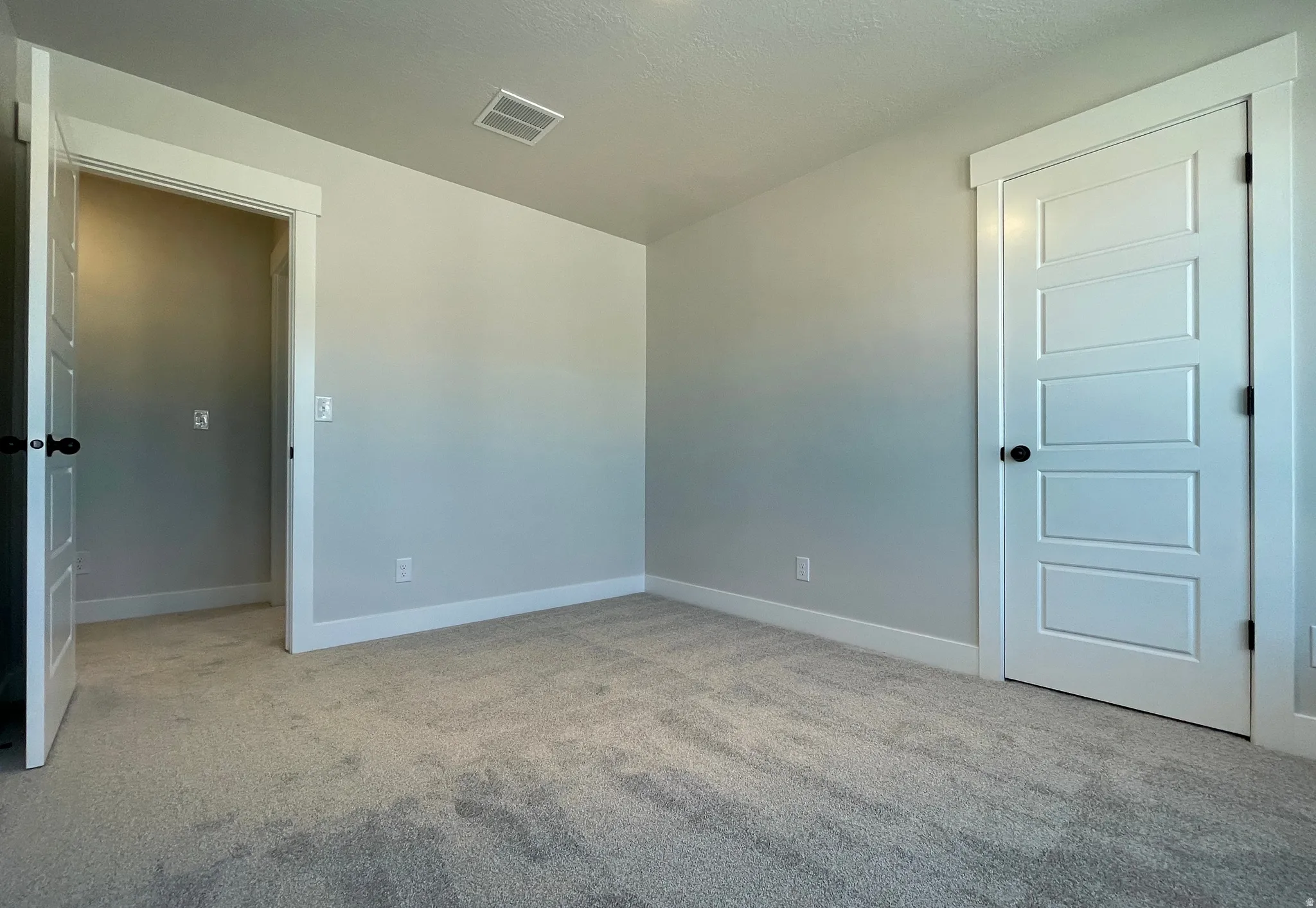 Spacious room featuring light gray wall paint and plush carpeting