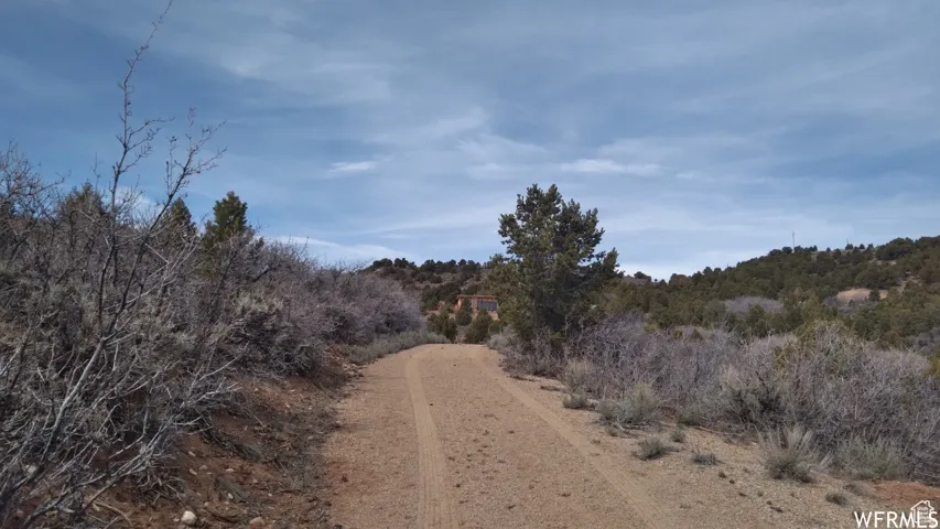 Unpaved dirt road winding through natural, undeveloped terrain