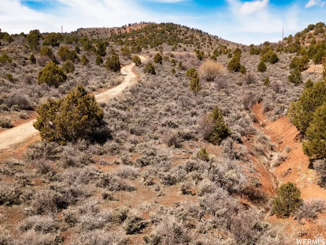 Expansive natural terrain featuring sparse vegetation, a defined dirt path, and rolling hillsides