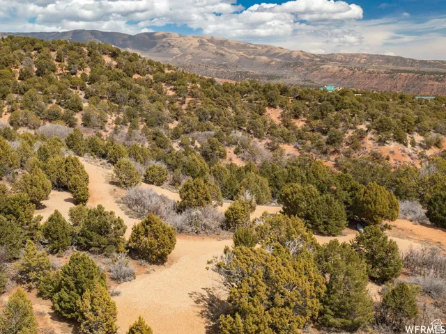 Expansive high-desert landscape featuring abundant juniper and scrub oak vegetation