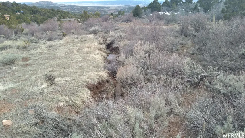 Expansive natural landscape featuring varied dry vegetation and a visible drainage ditch