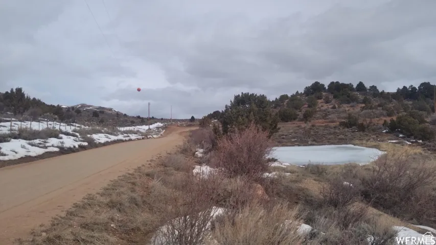 Unpaved road with natural terrain, scattered evergreen trees, and a partially frozen pond