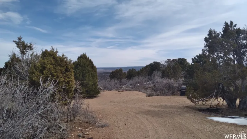 Expansive undeveloped property featuring natural desert landscaping, mature evergreen trees, and a dirt path