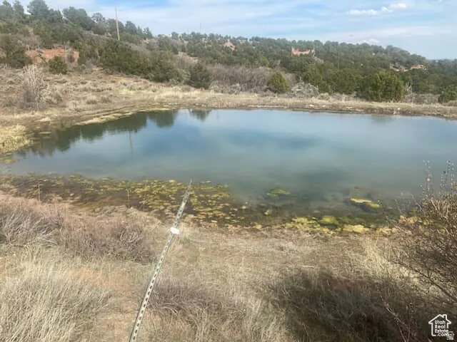 Natural pond featuring a serene water surface and surrounding vegetation